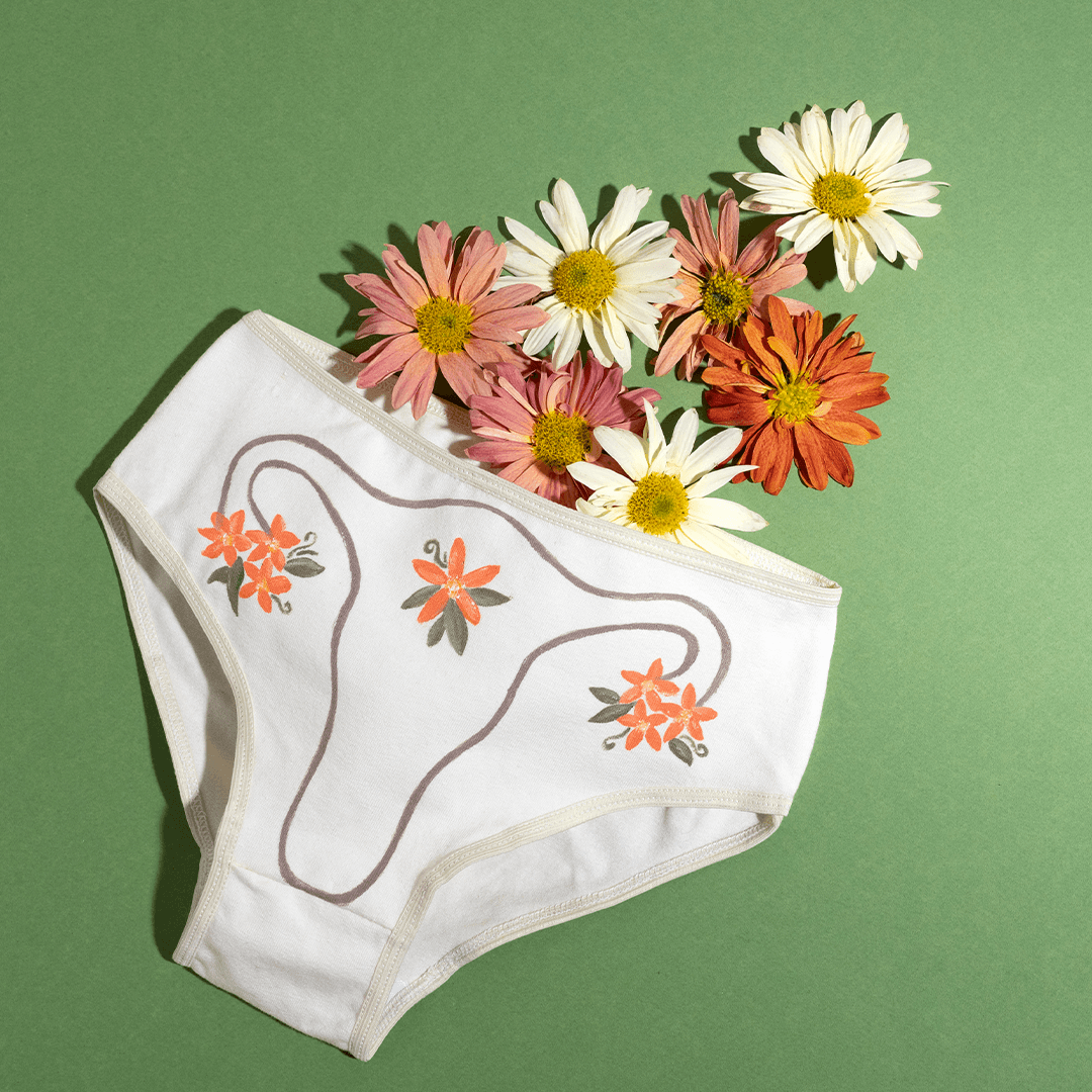 Picture of Period Underwear Depicting Eco-Friendly Materials for Heralogie Period Underwear