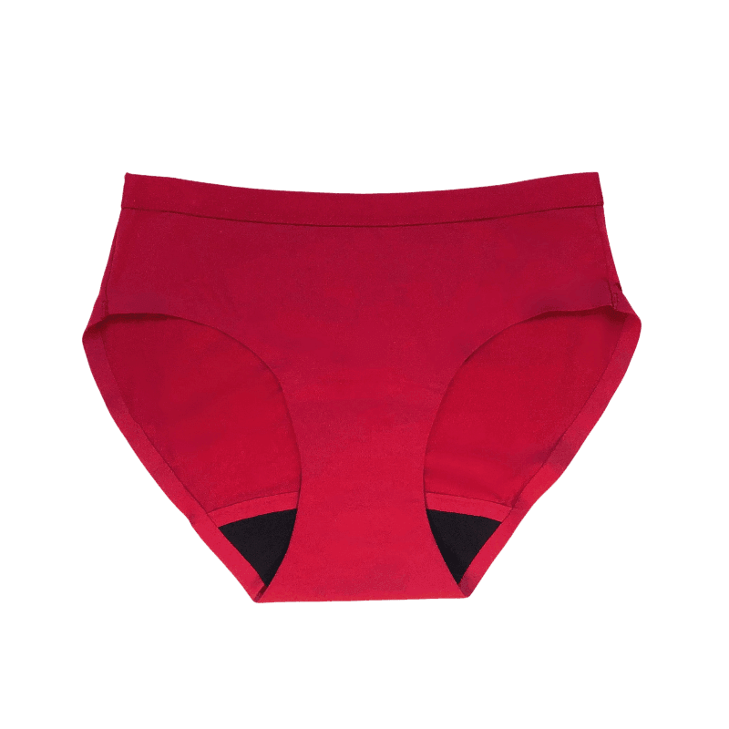 Heralogie Themis Bikini Period Undergarment